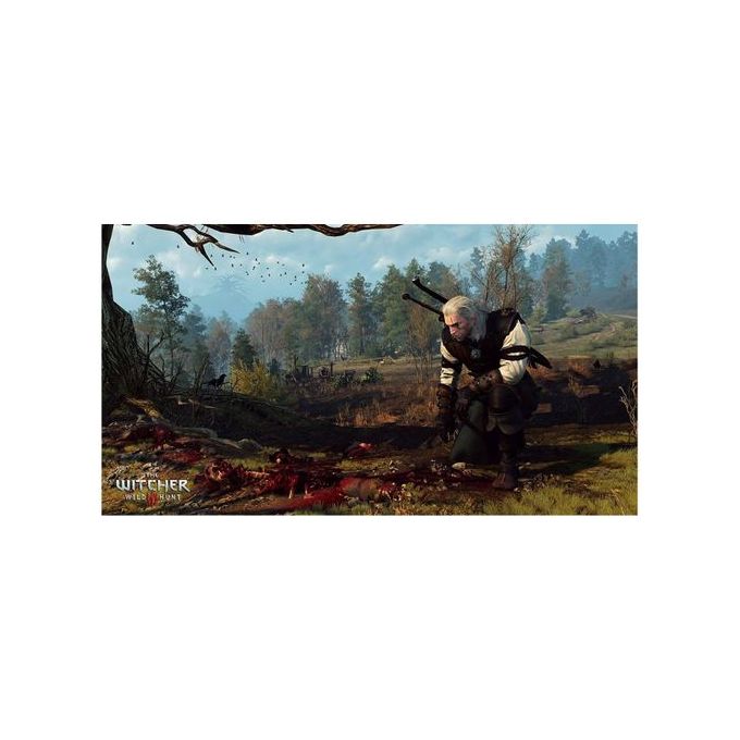 Warner Bros. Interactive Witcher The Wild Hunt Shopwice Warner Bros. Interactive Witcher The Wild Hunt