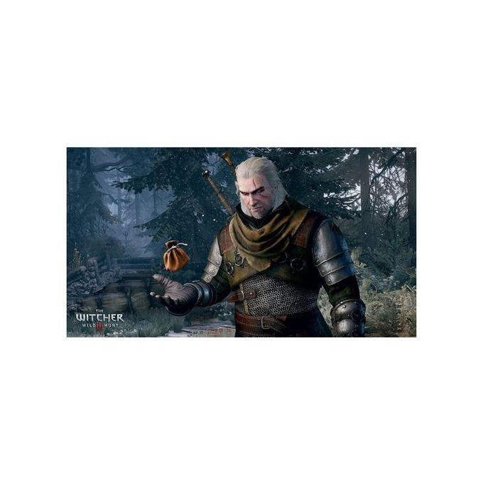 Warner Bros. Interactive Witcher The Wild Hunt Shopwice Warner Bros. Interactive Witcher The Wild Hunt