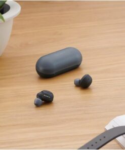 Sony WF-C500 Truly Wireless In-Ear Bluetooth Earbud Headphones with Mic and IPX4 water resistance, Black