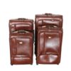 Honey Moon Set of 4 Trolley Bag - Brown
