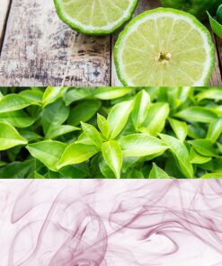 ck one perfume ingredients