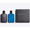 Zara Man Silver & Blue Spirit