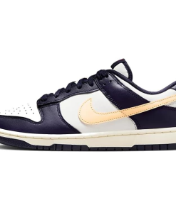 Nike sb dunk retro low mens shoe