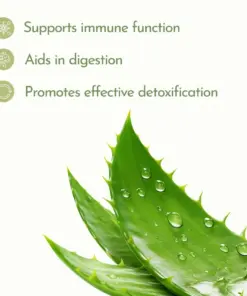 Jigsimur Herbal Tonic 750ML Shopwice Jigsimur Herbal Tonic 750ML